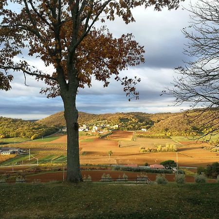 Paglia E Fieno Bed & Breakfast Villaga Exterior photo