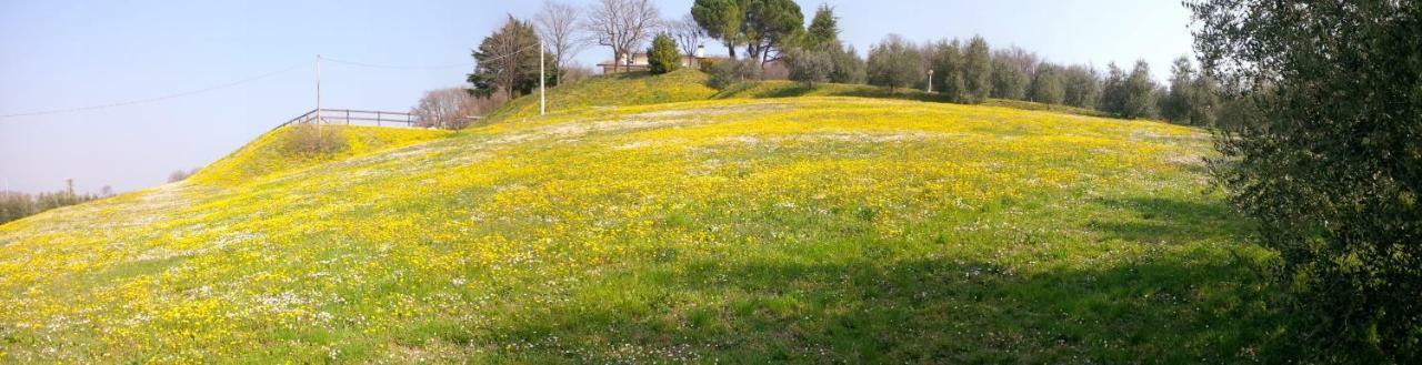 Paglia E Fieno Bed & Breakfast Villaga Exterior photo